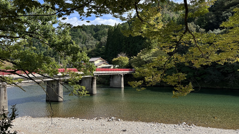 長良川　リバーダイビング　神奈川　岐阜　講習　オオサンショウウオ