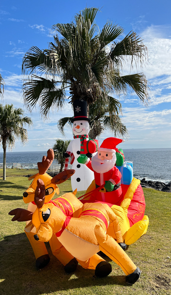 伊豆海洋公園　クリスマス　サンタクロース