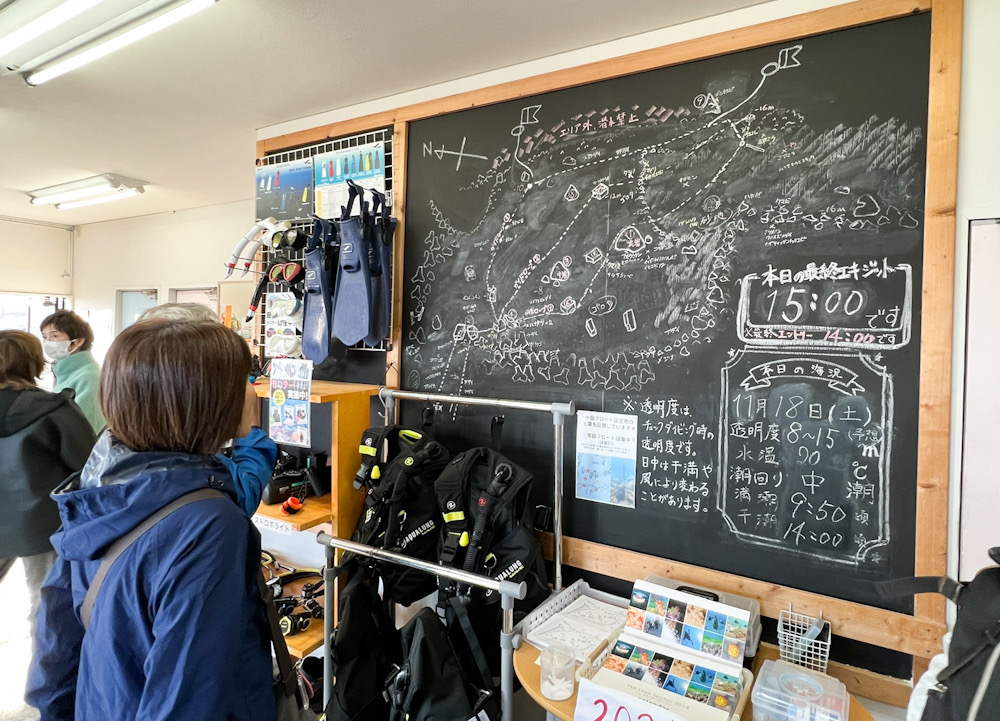 神奈川　ダイビング　日帰り　江の浦　生物