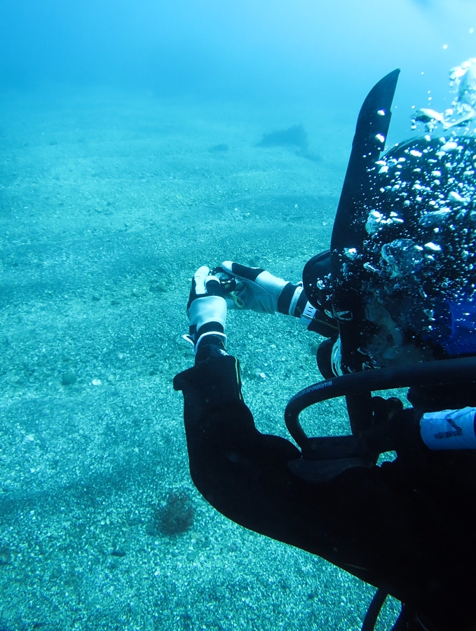 PADI　オープンウォーターダイバー　神奈川　講習　湘南　鎌倉