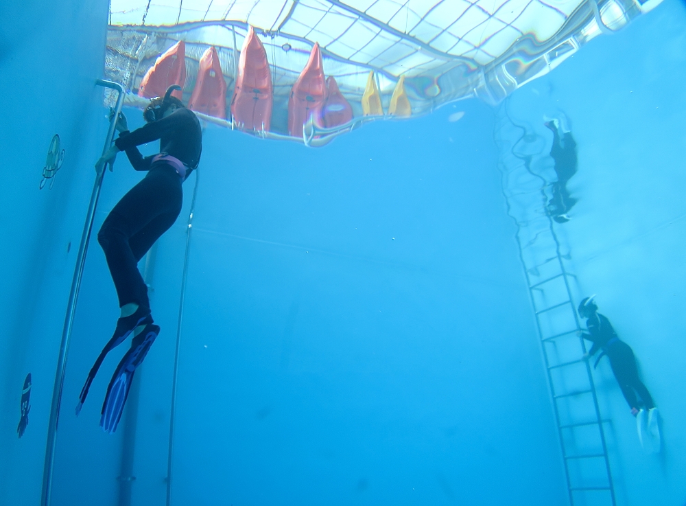 スキンダイビング講習　室内プール　神奈川　ラウト　PADI