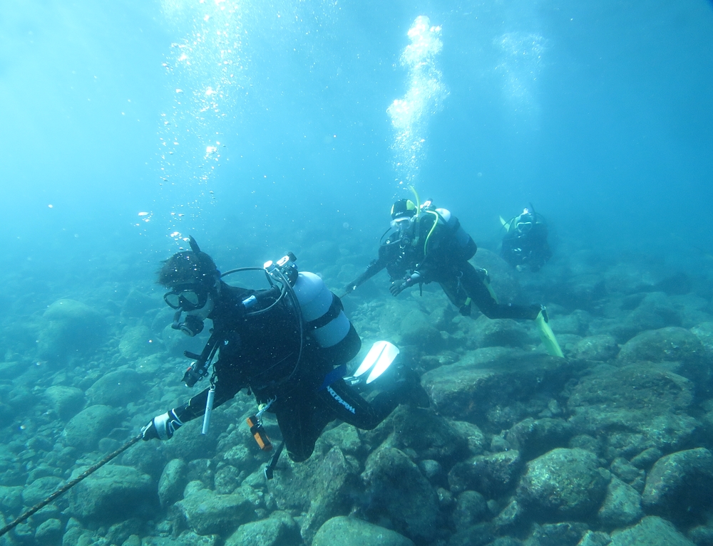 PADI　オープンウォーターダイバー　神奈川　講習　湘南　鎌倉