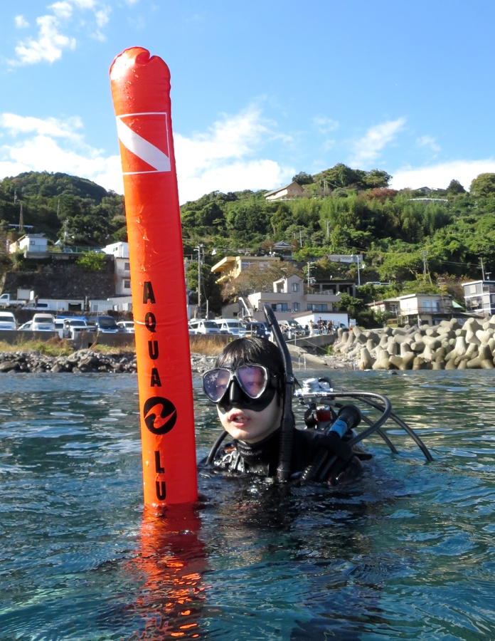 PADI　オープンウォーターダイバー　神奈川　講習　湘南　鎌倉