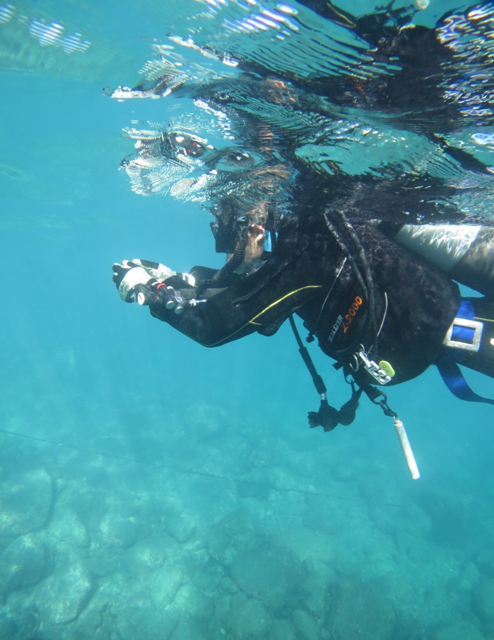 PADI　オープンウォーターダイバー　神奈川　講習　湘南　鎌倉