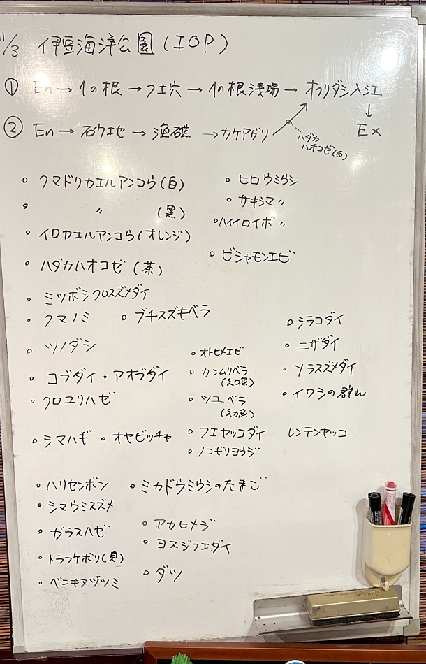 伊豆海洋公園　ダイビング　日帰りツアー　神奈川　ラウト　湘南