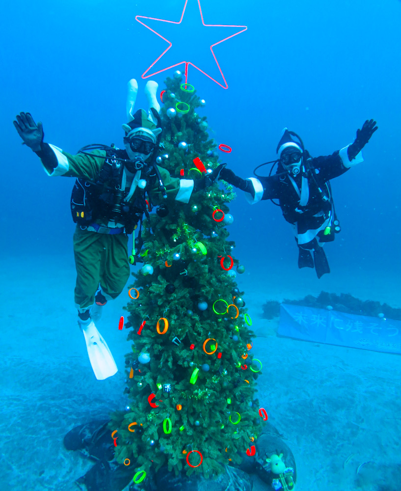 水中クリスマスツリー　ダイビング　伊豆海洋公園