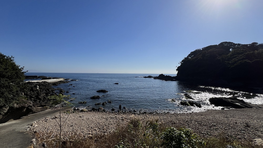 伊豆　菖蒲沢　ダイビング　神奈川　ラウト