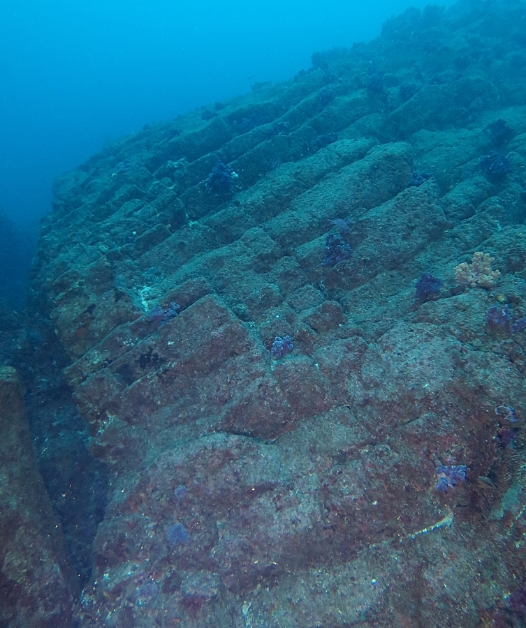 熱海　ダイビング　ソフトコーラル　地形　海底火山　AOW講習　ボートダイビング