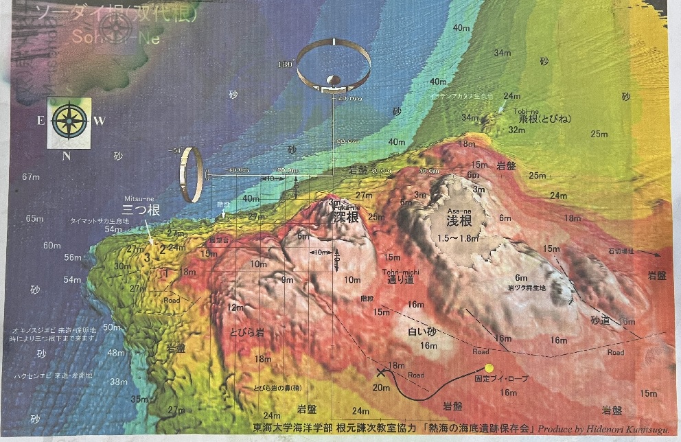 熱海　ダイビング　ソフトコーラル　地形　海底火山　AOW講習　ボートダイビング