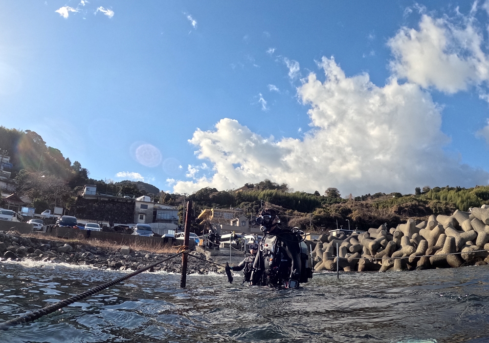 江の浦　ダイビング　ボロカサゴ　神奈川　ツアー