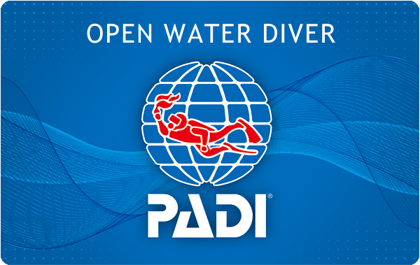 PADI Cカード　再発行　ライセンス　ダイビング