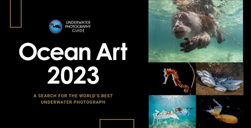 Ocean Art Contest 2023