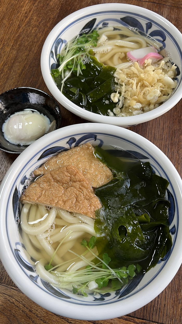 逗子　ボートダイビング　ウミウシ　鎌倉　小坪　うどん