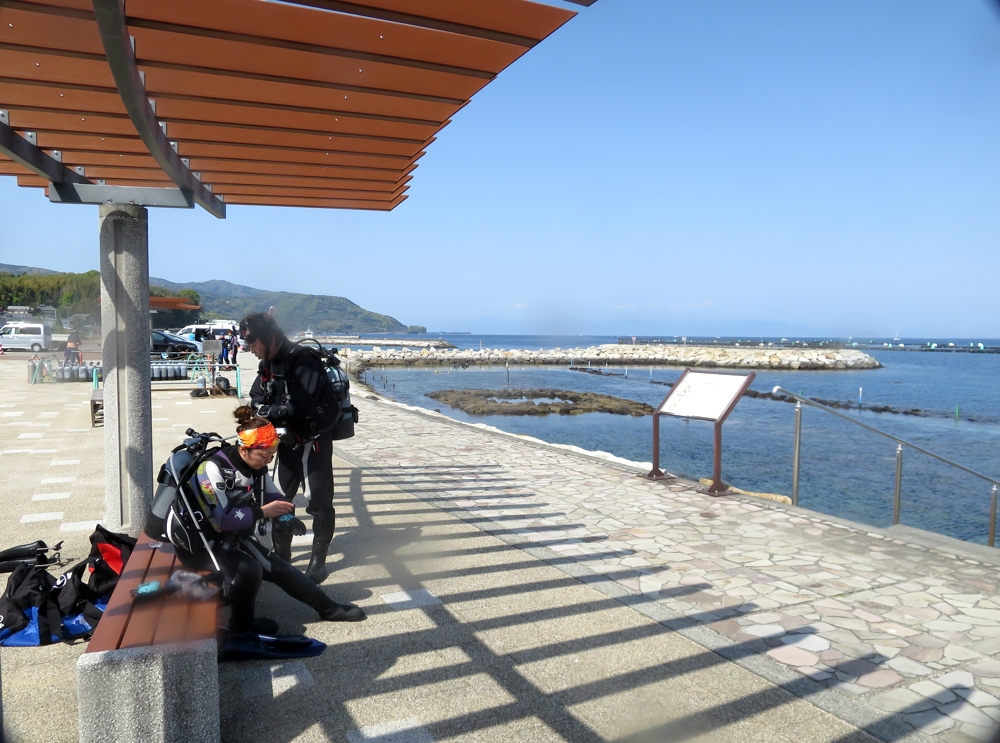 平沢　ダイビング　中性浮力　西伊豆　沼津　神奈川