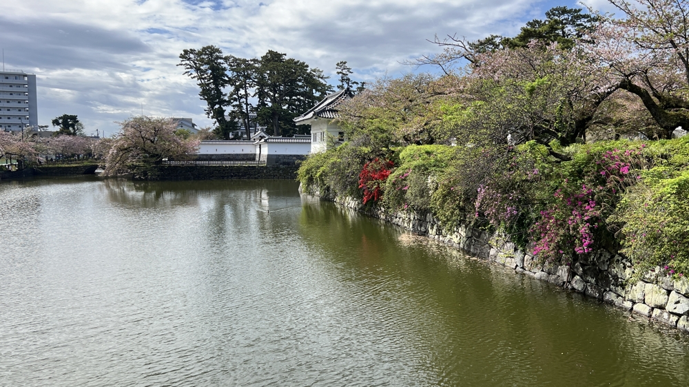 小田原城　お堀清掃　神奈川　ダイビングショップ　NDOSA