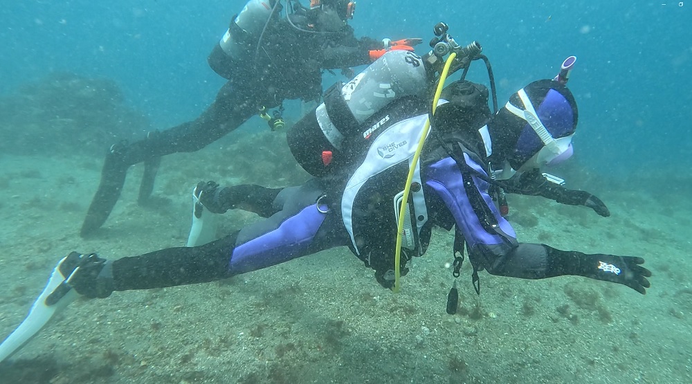 獅子浜　ダイビング　中性浮力　西伊豆　沼津　神奈川