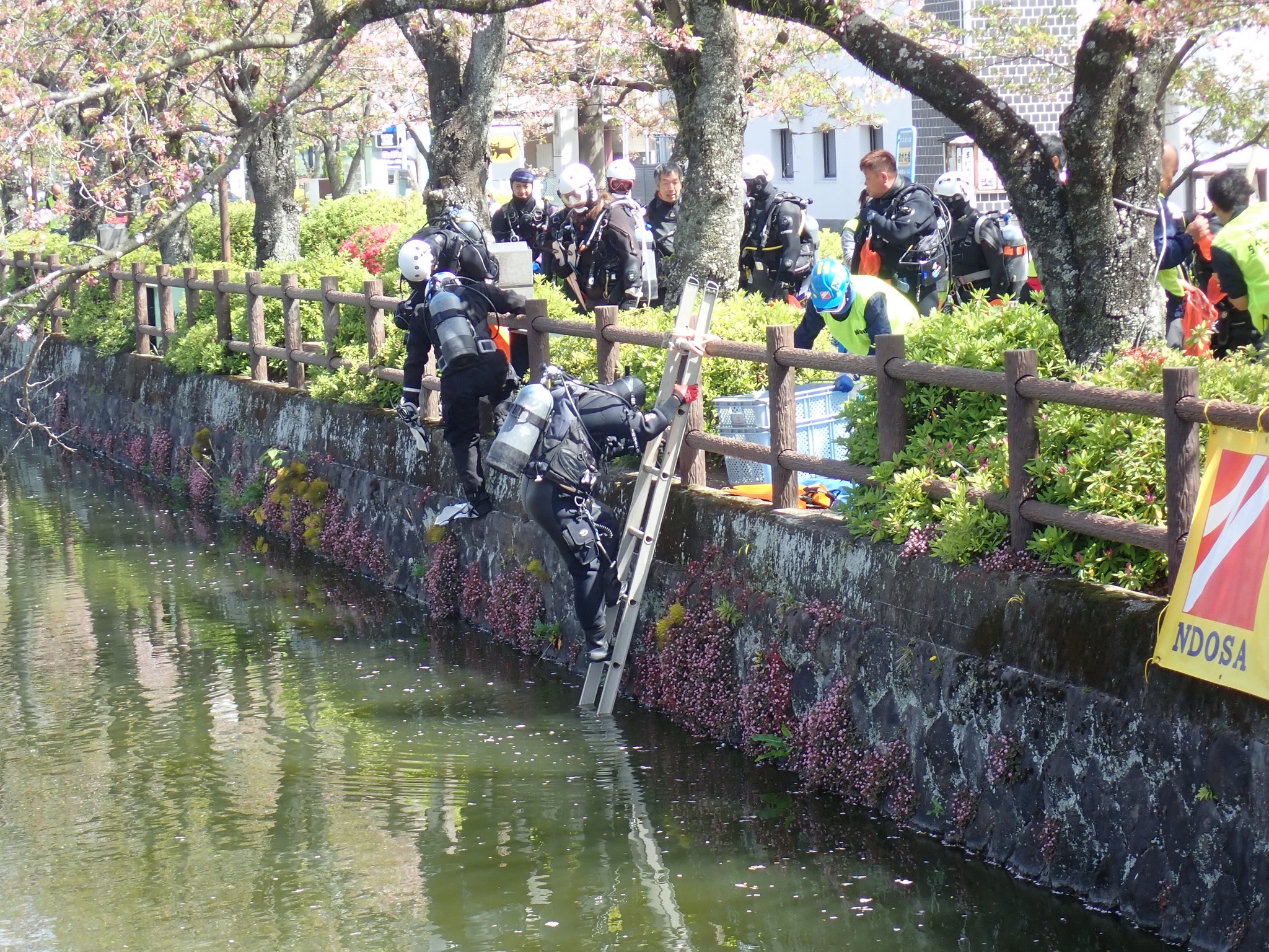 小田原城　お堀清掃　神奈川　ダイビングショップ　NDOSA