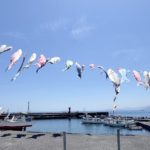 神奈川　ダイビング　福浦　日帰り　ナイトダイビング　大船　ラウト