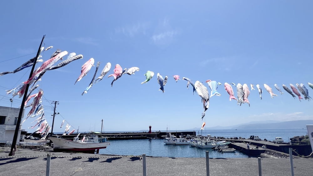 神奈川　ダイビング　福浦　日帰り　ナイトダイビング　大船　ラウト