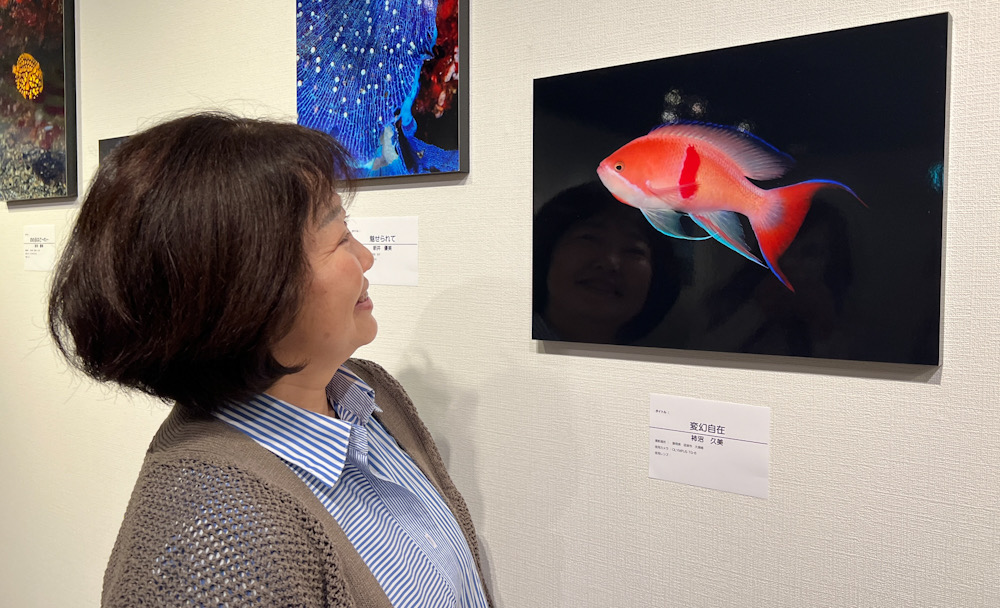 みなとみらい 水中写真展 ダイビング