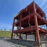 南三陸　ダイビング　志津川　グラントスカルピン　ダンゴウオ