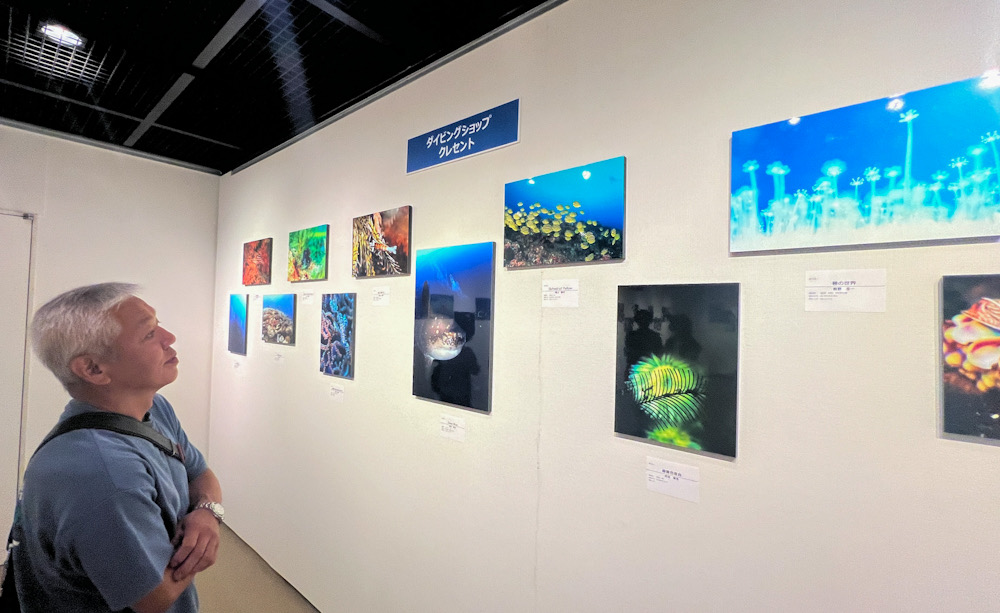 みなとみらい 水中写真展 ダイビング