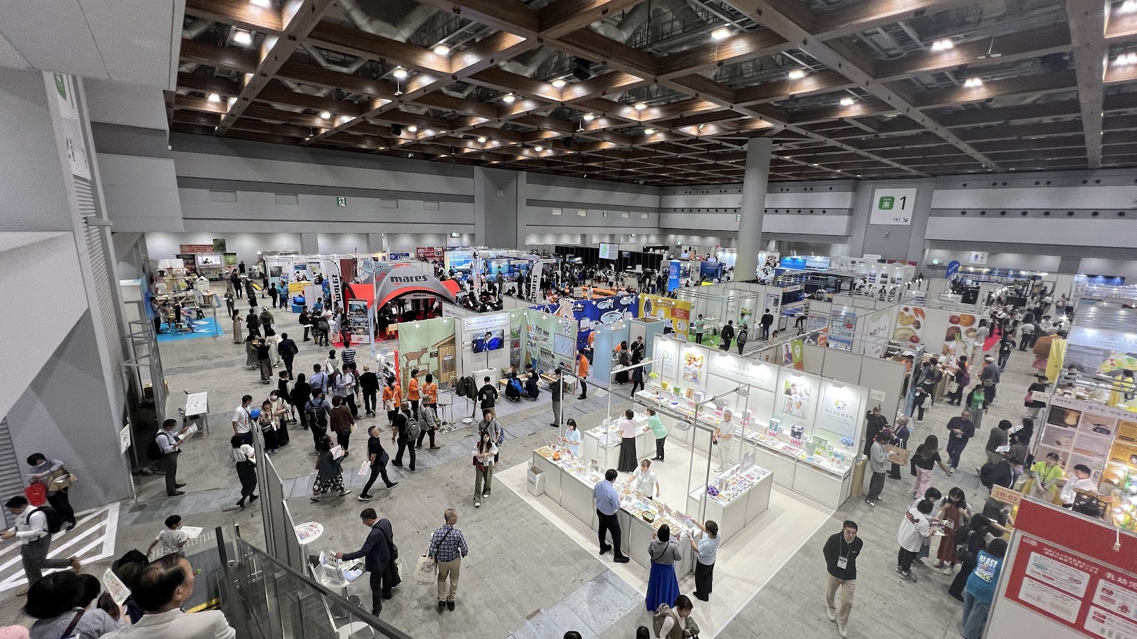 ADEJ日本 ダイビング ビッグサイト ASIA DIVE EXPO JAPAN 2024(ADEJ)