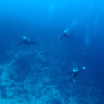 水中スクーター　伊豆海洋公園