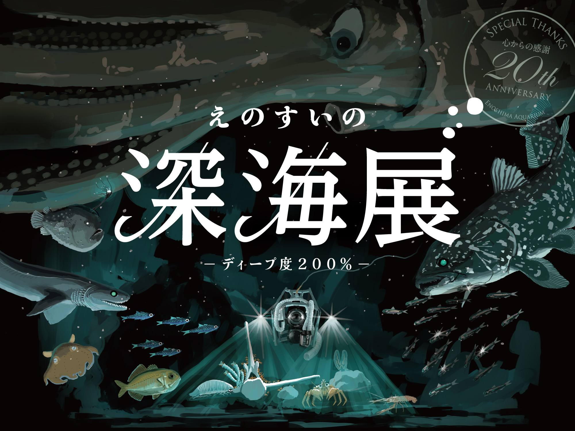 えのすいの深海展 楽しそうです！！ - PADIスキューバダイビング