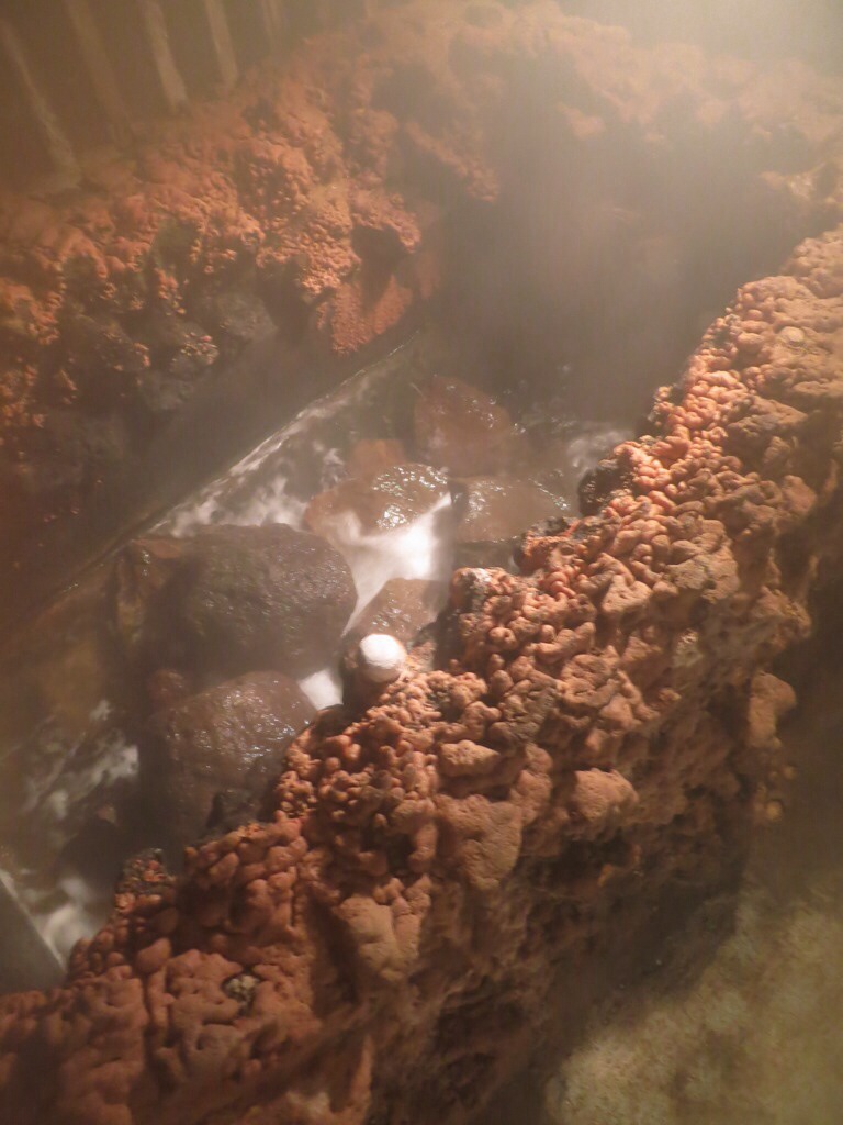 伊豆山 走り湯 温泉 足湯