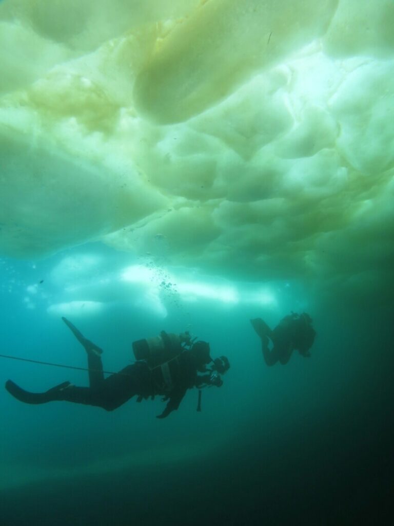 知床流氷ダイビング