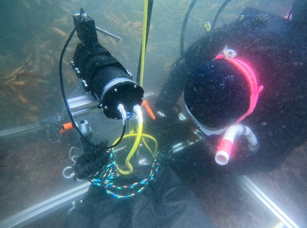 水中観測 ミズリンクス 水中カメラ 逗子 ダイビング