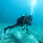 江之浦ダイビング　中性浮力講習　アオリイカ産卵