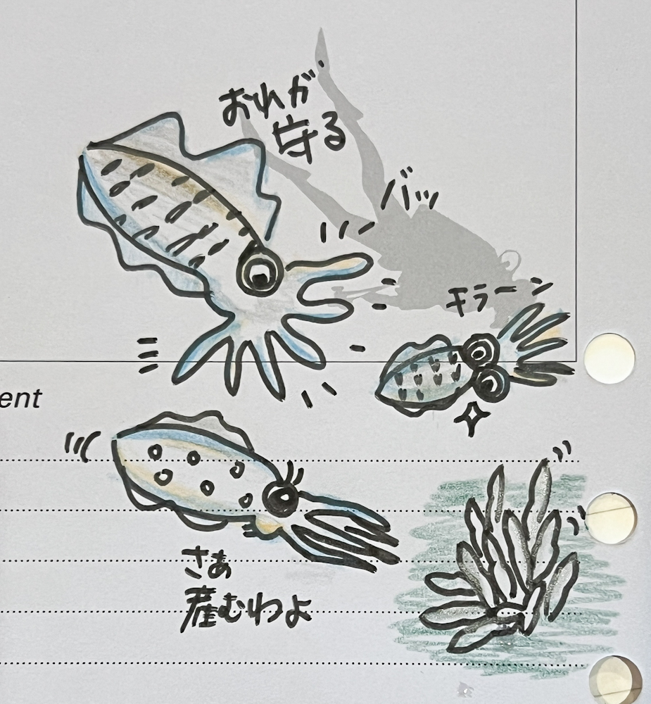 江之浦ダイビング　中性浮力講習　アオリイカ産卵