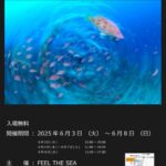 2025年みなとみらい写真展