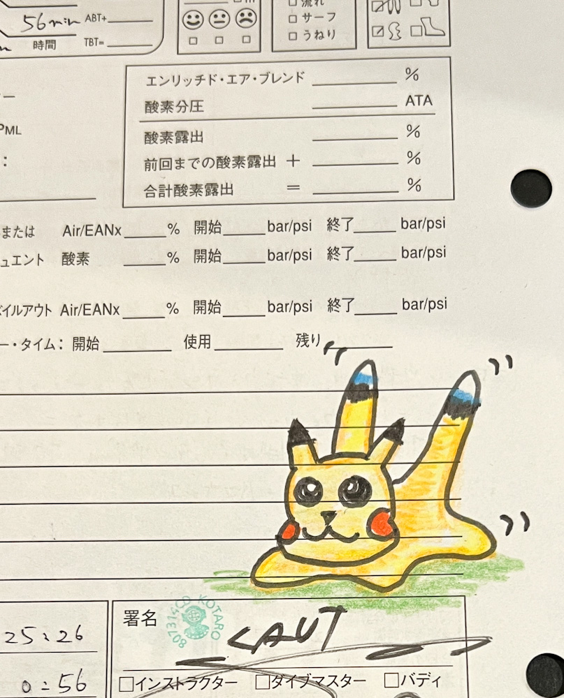 西伊豆 田子 ダイビング 珊瑚 サンゴ