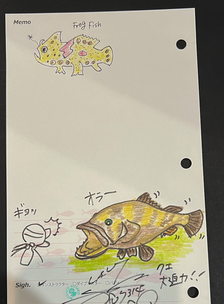 逗子ダイビング 鎌倉沖 オオタカ根 神奈川のダイビングポイント