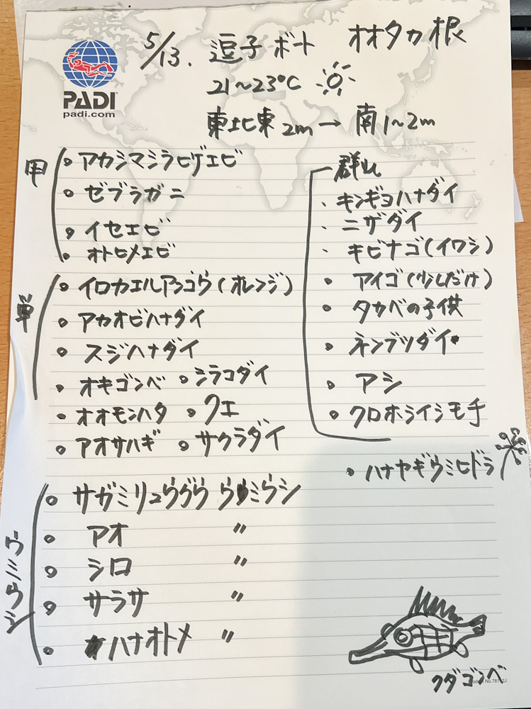 逗子ダイビング 鎌倉沖 オオタカ根 神奈川のダイビングポイント