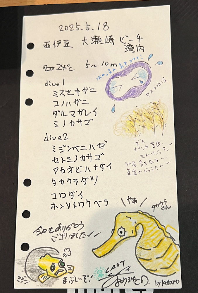 大瀬崎 ダイビングツアー ラウト