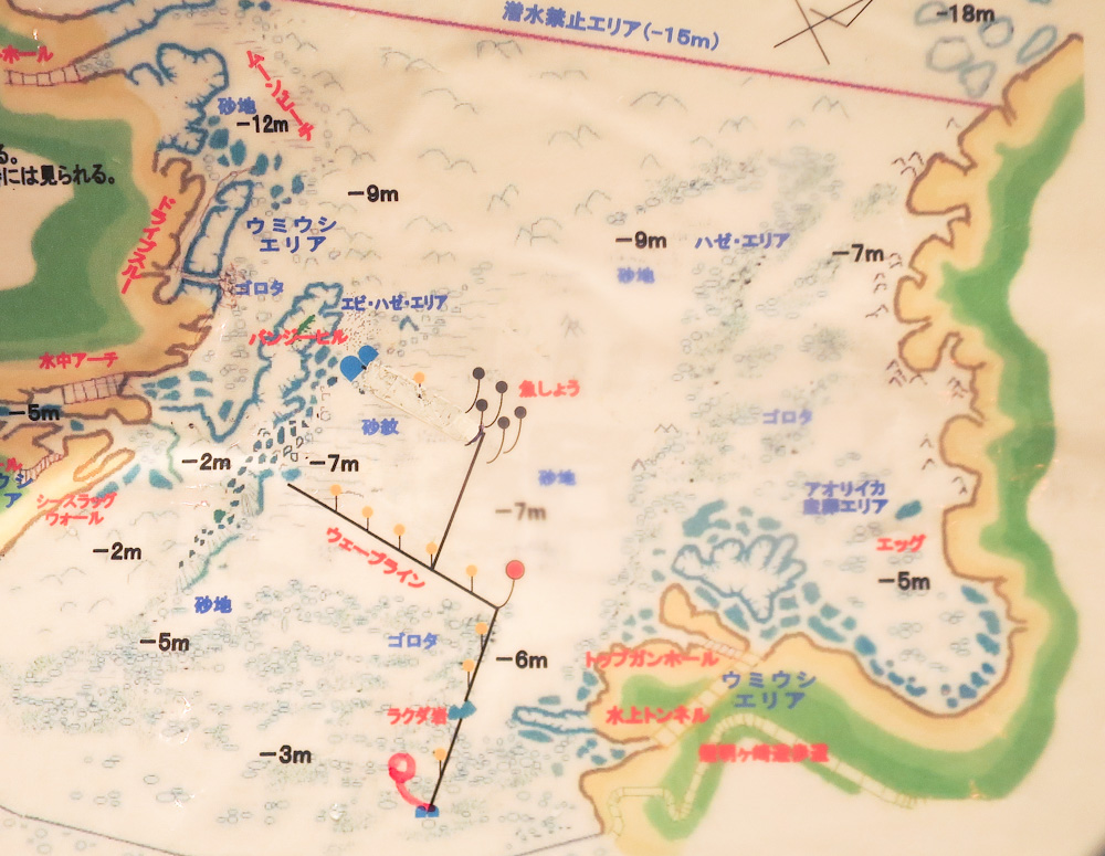 西伊豆浮島でナイトダイビング 水中地図