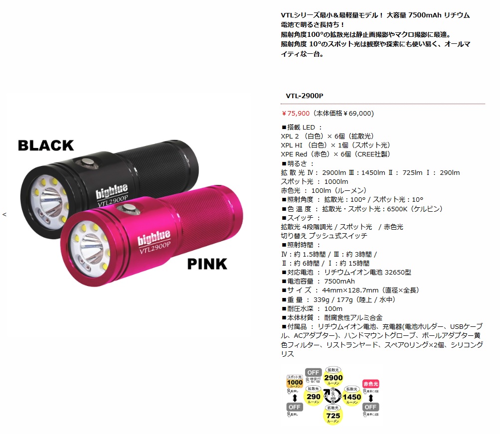 水中ライト bigblue VTL-2900P