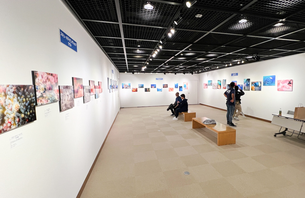 横浜みなとみらいの水中写真展