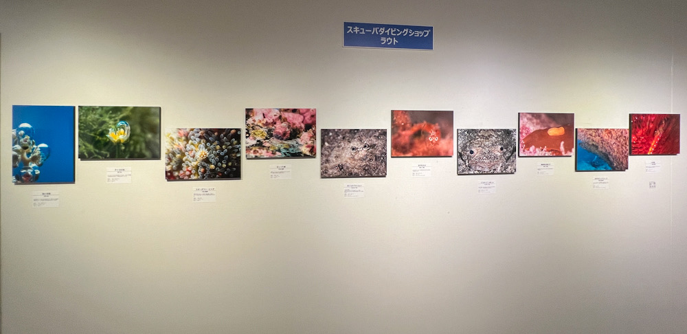 横浜みなとみらい水中写真展