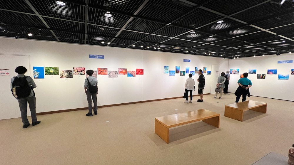 みなとみらい 水中写真展 ダイビング