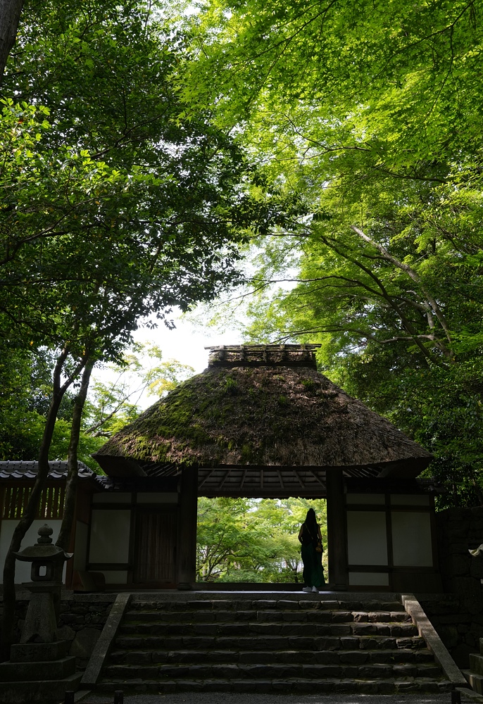 京都、法然寺の青紅葉