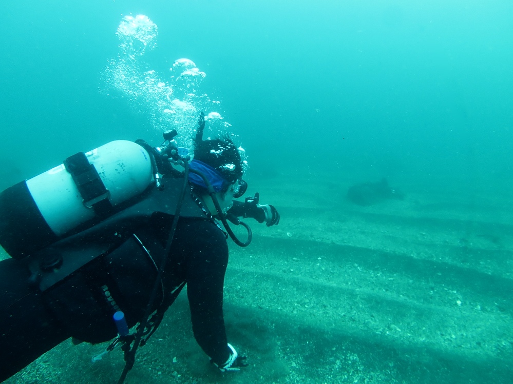 PADI ダイビングライセンス取得講習 神奈川