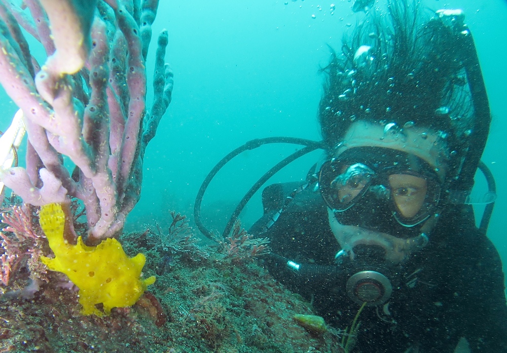 PADI ダイビングライセンス取得講習 神奈川