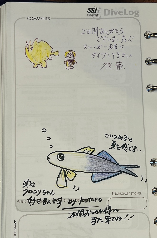 PADI ダイビングライセンス取得講習 神奈川