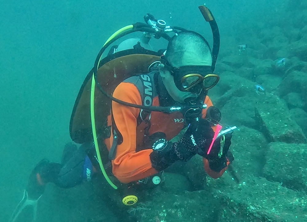 ディープダイビング講習 沼津 獅子浜 PADI 窒素酔い