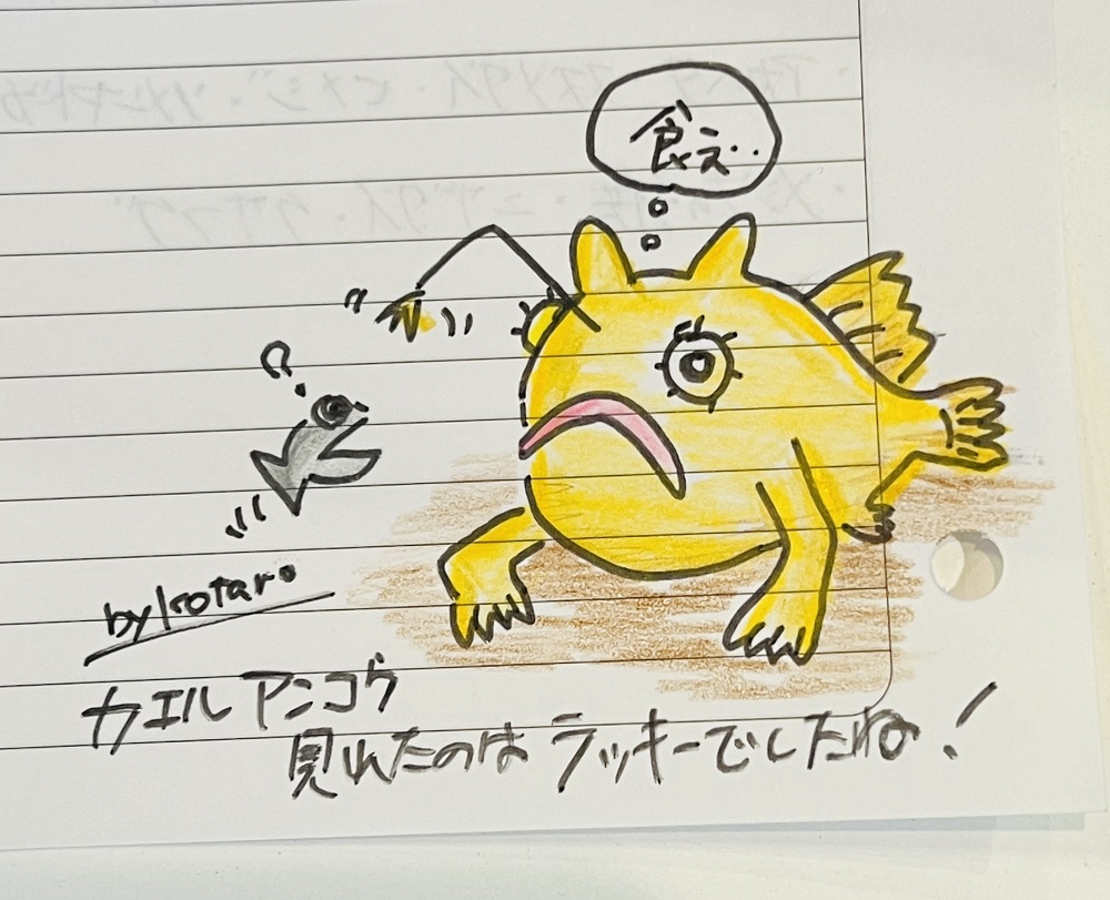 PADI ダイビングライセンス取得講習 神奈川